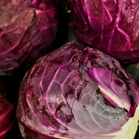 Red Cabbage