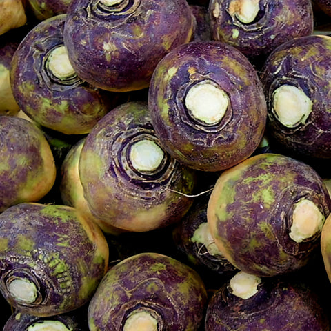 Swede