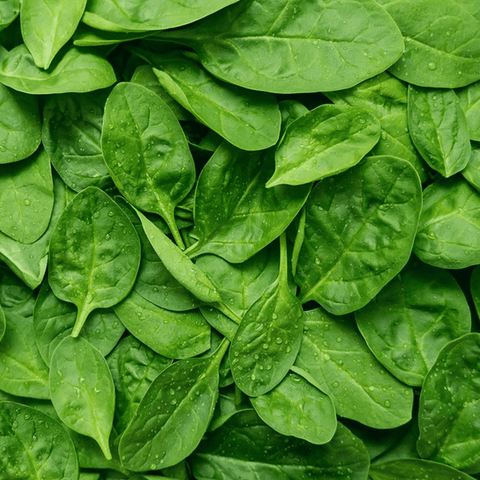 Spinach