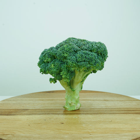 Broccoli