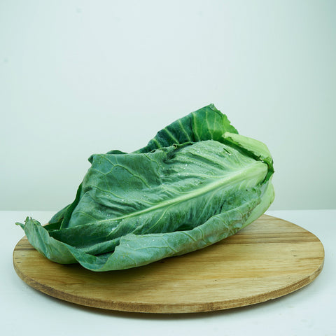 Hispi Cabbage