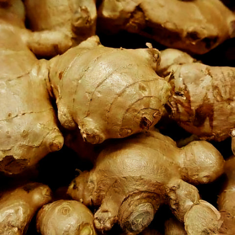 Ginger Root