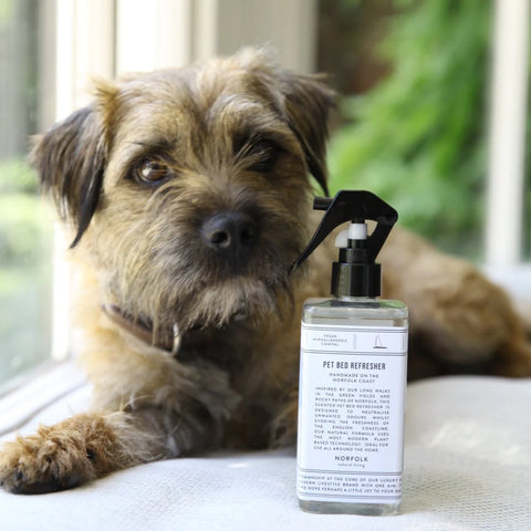 Natural Norfolk Living's Pet Bed Refresher - Coastal Walks