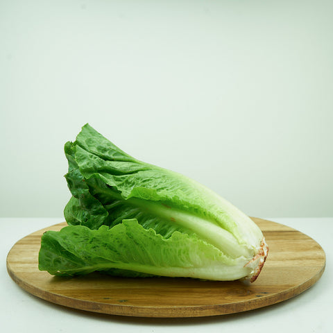 Cos Lettuce