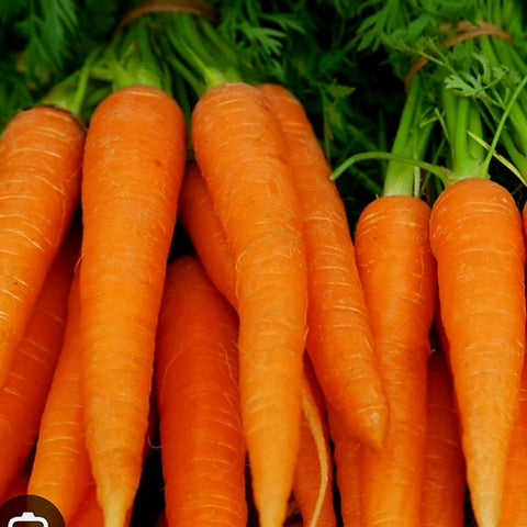 Carrots