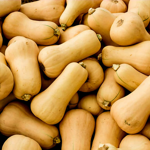 Butternut Squash