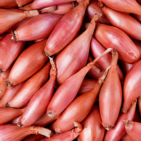 Shallots