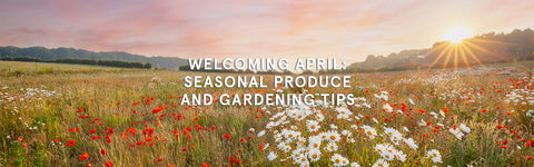 Welcoming April: Seasonal Produce and Gardening Tips