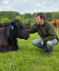 Man interacting with a black cow in a grassy field with other cows in the background.
