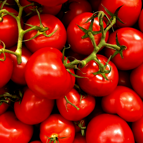 Vine Tomatoes