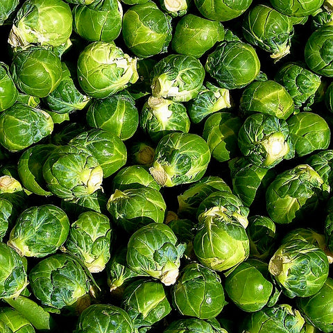 Brussel Sprouts