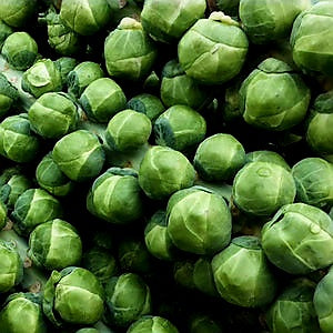 Brussel Sprouts