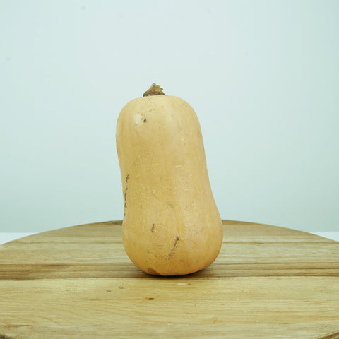 Butternut Squash