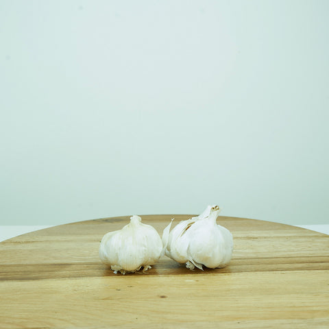 White Garlic Bulb