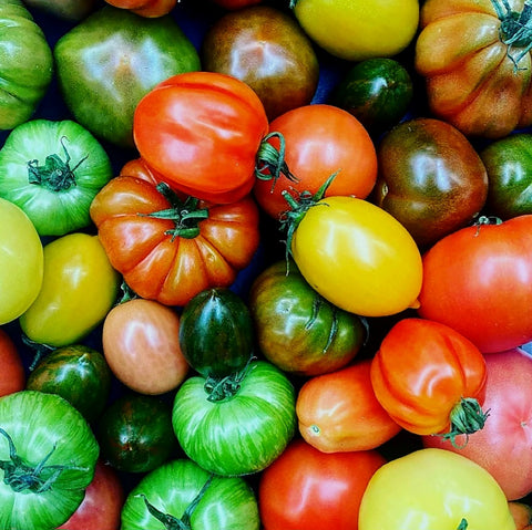 Mixed Variety Heritage Tomatoes