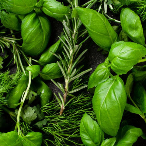 Fresh Herbs