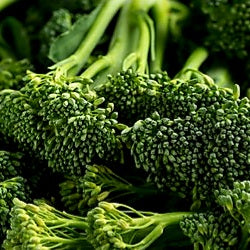 Tenderstem Broccoli