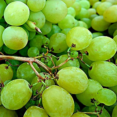 White Grapes