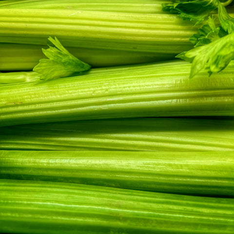 Celery