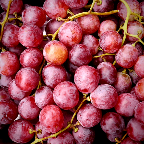 Red Grapes